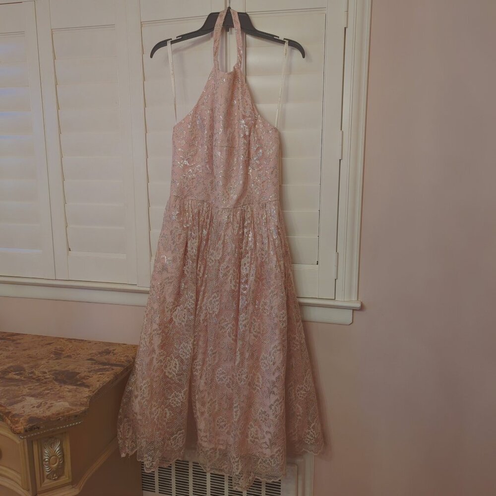 Shoshanna Anthropologie Blush & Silver Floral Lace Dress NWT